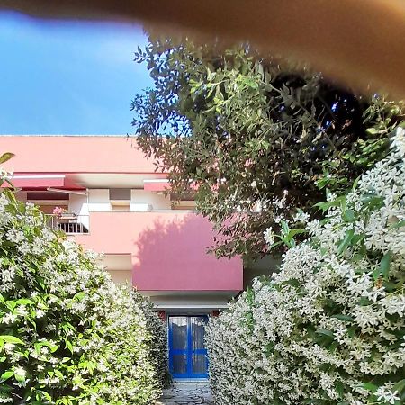 Appartamento Ornello Pietrasanta Bagian luar foto